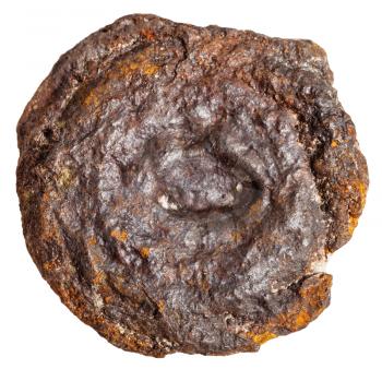 macro shooting of mineral resources - native Limonite stone (bog iron ore, brown hematite, pea iron, bean ore) isolated on white background