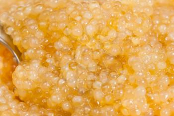 surface of salty yellow caviar of pike fish with spoon close up