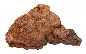macro shooting of geological collection mineral - piece of limonite stone (brown ore, brown iron ore, bog iron ore) isolated on white background