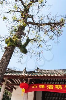 GUANGZHOU, CHINA - APRIL 1, 2017: tree in court of Guangxiao Temple (Bright Obedience, Bright Filial Piety Temple). This is is one of the oldest Buddhist temples in Guangzhou city