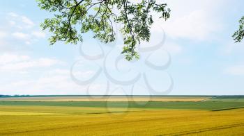 country landscape - agricultural fields near village L'Epine Marne in sunny summer day in Champagne region of France