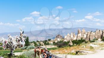 Travel to Turkey - ornamental tree and ancient cave churches near Goreme town in Cappadocia in spring
