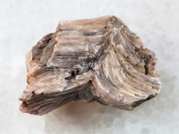 macro shooting of natural mineral rock specimen - raw baryte stone on white marble background from Irkutsk region, Russia