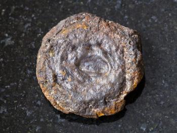 macro shooting of natural mineral rock specimen - rough lake iron ore coin type (limonite) on dark granite background