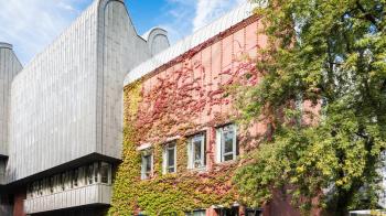 travel to Germany - ivy on facade of building on Bischofsgartenstrasse street (Kolner Philharmonie) in Cologne city in september