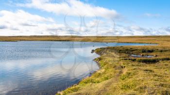 travel to Iceland - Leirvogsvatn lake in swamp landscape of Iceland in sunny september day