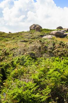travel to France - green moorland in Ploumanac'h site of Perros-Guirec commune on Pink Granite Coast of Cotes-d'Armor department in the north of Brittany in sunny summer day