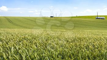 country landscape - panorama of green wheat field under blue sky in Picardy region of France in summer day