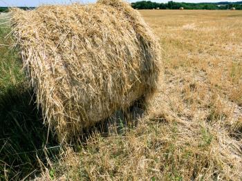 country landscape - bale of straw on hay field in Val de Loire region of France in summer sunny day
