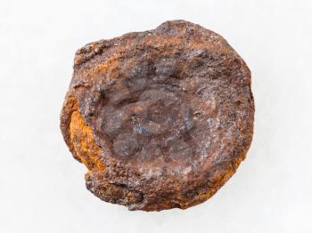 macro shooting of natural mineral rock specimen - rough lake iron ore coin type (limonite) on white marble background