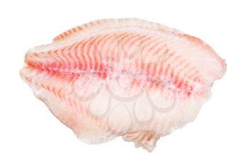raw frozen fillet of ocean perch fish isolated on white background