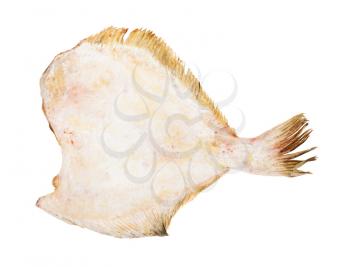 raw frozen headless flounder fish isolated on white background