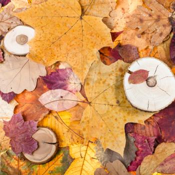 top view of multicolor fallen autumn leaves and sawed woods