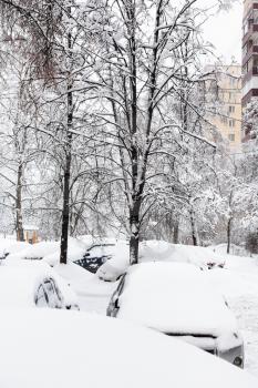 snow-covered cars near apartment houses in residential district of Moscow city in snowfall