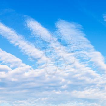palm shaped clouds in blue sky in sunny autumn day