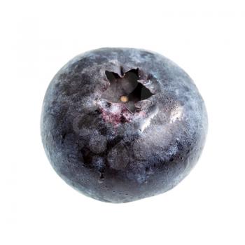 fresh blueberry isolated on white background