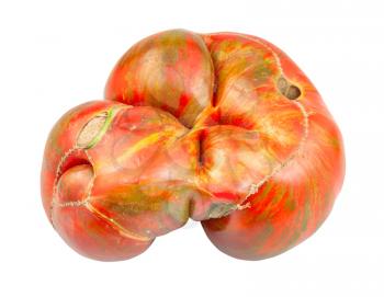 natural large tomato with green veins isolated on white background