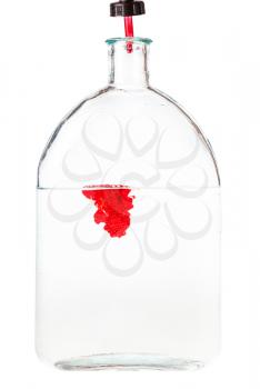 dropper drips red ink in water in glass flask isolated on white background