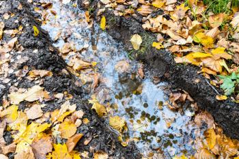rain puddle in deep rut on country road covered with fallen leaves in city park on autumn day