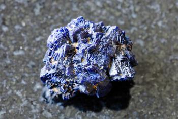 macro photography of sample of natural mineral from geological collection - unpolished Azurite mineral crystals from Jezkazgan, Kazakhstan on black granite background