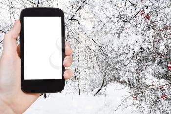 travel concept - tourist photographs of snowy footpath in city park in winter in Moscow city on smartphone with empty cutout screen with blank place for advertising