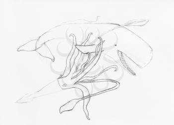 sketch of battle of octopus and cachalot hand-drawn by black pencil on white paper
