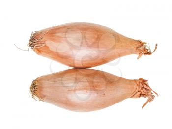 top view of two bulbs of shallot onion isolated on white background