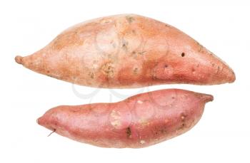 two tubers of sweet potato (ipomoea batatas, batata) isolated on white background