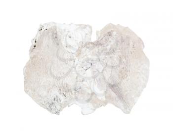 closeup of sample of natural mineral from geological collection - unpolished Danburite rock isolated on white background
