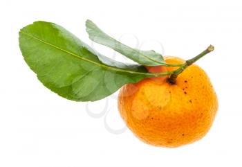 ripe fresh Abkhazian mandarine with green leaves isolated on white background
