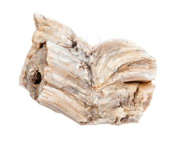 closeup of sample of natural mineral from geological collection - rough Baryte rock isolated on white background