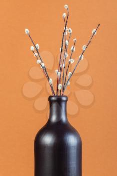 vertical pussy willow sunday (palm sunday) feast still-life - pussy-willow twigs in ceramic bottle on brown pastel background