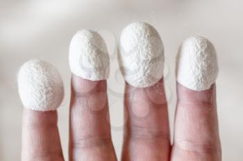 organic silk cocoons for facial skin care dressed on fingertips closeup