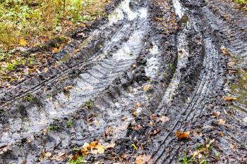 wet dirty country road with rain puddles on autumn day