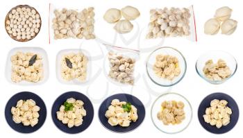 collection of various cooked and uncooked Pelmeni (russian dumplings filled with minced meat) iisolated on white background