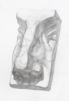 academic drawing - separate male nose, plaster cast fragment of David's face hand-drawn by graphite pencil on white paper