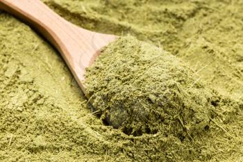 wooden spoon with milled stevia rebaudiana herb (natural sugar substitute) close up on pile of sugar