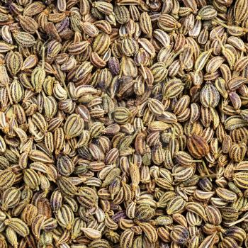 square food background - dried Ajwain seeds close up