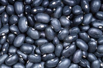 food background - uncooked black mexico beans