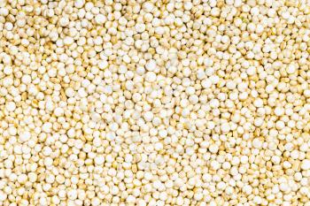 food background - many uncooked quinoa grains