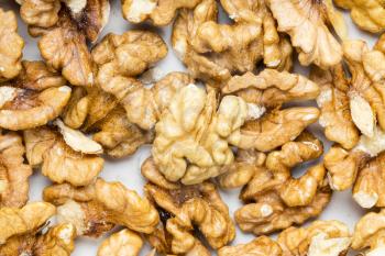 food background - many shelled walnut cores