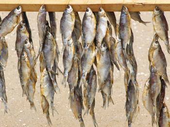 Dried fishes for sale on a summer beach against sand.