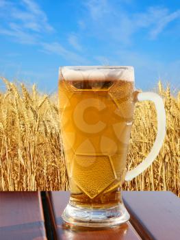 Beer glass on wooden table against of golden wheat ears and blue sky.