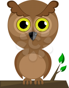 Wisdom owl