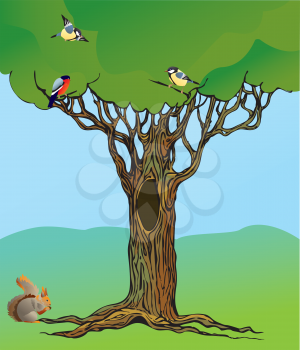  banner with fairy-tale rooted oak tree, squirrel and birds