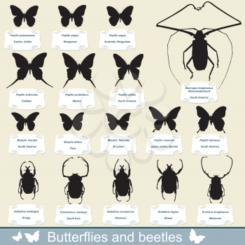 silhouettes of insects - beetles and butterflies