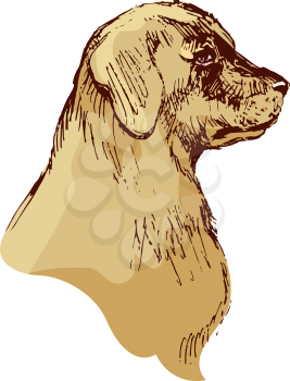 Dog head - bloodhound hand drawn illustration - sketch in vintage style