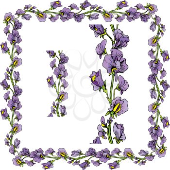 Set of ornaments - decorative hand drawn floral border and frame with  sweet pea flowers, isolated on white background.