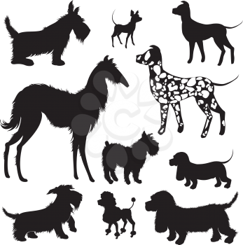 Set of of dogs silhouettes - scottish terrier, dalmatian, dachshund, poodle, chihuahua. Isolated on white background.