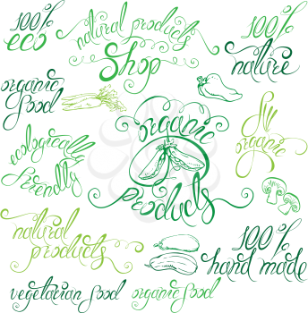 Collection of delicious vegetables signs, elements, labels, hand drawn calligraphic phrases eco, all organic, natural products, vegetarian food, etc. Set of lettering design.